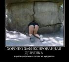Прикрепленное изображение: jyKTa3ui3hU.jpg