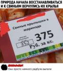 Прикрепленное изображение: Свиные крылышки в маринаде.jpg