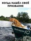 Прикрепленное изображение: Рыбнадзор.jpg
