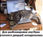 Прикрепленное изображение: Хлопните дверцей холодильника.png