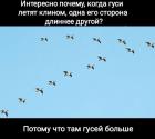 Прикрепленное изображение: 1623723268.jpg