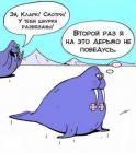 Прикрепленное изображение: 0.jpg