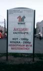 Прикрепленное изображение: IMG_20210609_162812_233.jpg