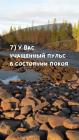 Прикрепленное изображение: 08.jpg