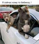 Прикрепленное изображение: Сейчас бибикну.jpg