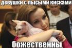 Прикрепленное изображение: 4743_a3_17.jpg