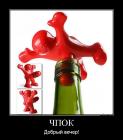 Прикрепленное изображение: chpock.jpg
