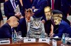 Прикрепленное изображение: 999.jpg