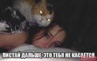 Прикрепленное изображение: image.jpeg