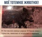 Прикрепленное изображение: nULLD8lYbl4.jpg