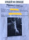 Прикрепленное изображение: Ye1P7jnlAWk.jpg