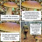 Прикрепленное изображение: гриб 1.jpg