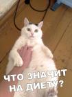 Прикрепленное изображение: fHPLiaNdXvI.jpg