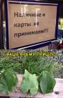 Прикрепленное изображение: 1jaxrHuHn3o.jpg