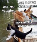 Прикрепленное изображение: 1590564644.jpg