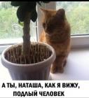 Прикрепленное изображение: 186564278_1009899916210625_8830003149807606535_n.jpg