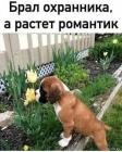 Прикрепленное изображение: 1626682423.jpg