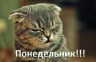 Прикрепленное изображение: monday-44.jpg