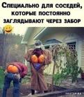 Прикрепленное изображение: 1626768508.jpg
