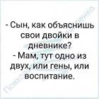 Прикрепленное изображение: Гены или воспитание.jpg