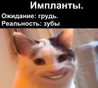 Прикрепленное изображение: Импланты.jpg