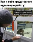 Прикрепленное изображение: Идеальная работа.jpg
