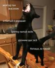 Прикрепленное изображение: 04.jpg