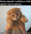 Прикрепленное изображение: Не трогайте меня.jpg