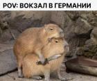 Прикрепленное изображение: IMG_20250712_101106_979.jpg