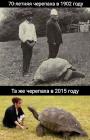 Прикрепленное изображение: 1753378188.jpg