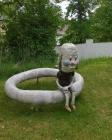 Прикрепленное изображение: 2020-06-09-mixnews-images_006250_033.jpg
