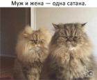 Прикрепленное изображение: Одна сатана.jpg