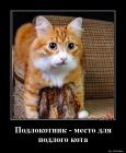 Прикрепленное изображение: Подлокотник.jpg