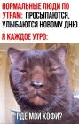 Прикрепленное изображение: Где мой кофи.jpg