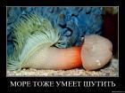 Прикрепленное изображение: _____________.jpg