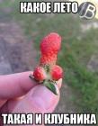 Прикрепленное изображение: iGj5yhIZ2eo.jpg