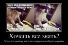 Прикрепленное изображение: msg-246006-0-58521300-1438679645.jpg