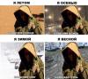 Прикрепленное изображение: IMG_0914.JPG