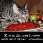 Прикрепленное изображение: IMG-20180817-WA0004.jpg