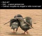 Прикрепленное изображение: IMG-20180827-WA0002.jpg