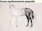Прикрепленное изображение: image.jpeg