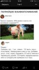 Прикрепленное изображение: IMG-20190813-WA0014.jpg