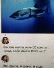 Прикрепленное изображение: 1597909343.jpg