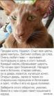 Прикрепленное изображение: 1597472697.jpg