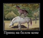 Прикрепленное изображение: 1598654529.jpg