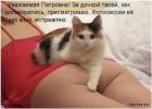 Прикрепленное изображение: 1597472814.jpg