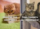 Прикрепленное изображение: riXza8uFuWc.jpg