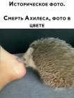 Прикрепленное изображение: 919026DE-93DF-45D1-BDB4-A3B42A687064.jpeg