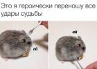Прикрепленное изображение: jQQBlII8X2c.jpg