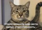 Прикрепленное изображение: BjPJ-eWjcKo.jpg